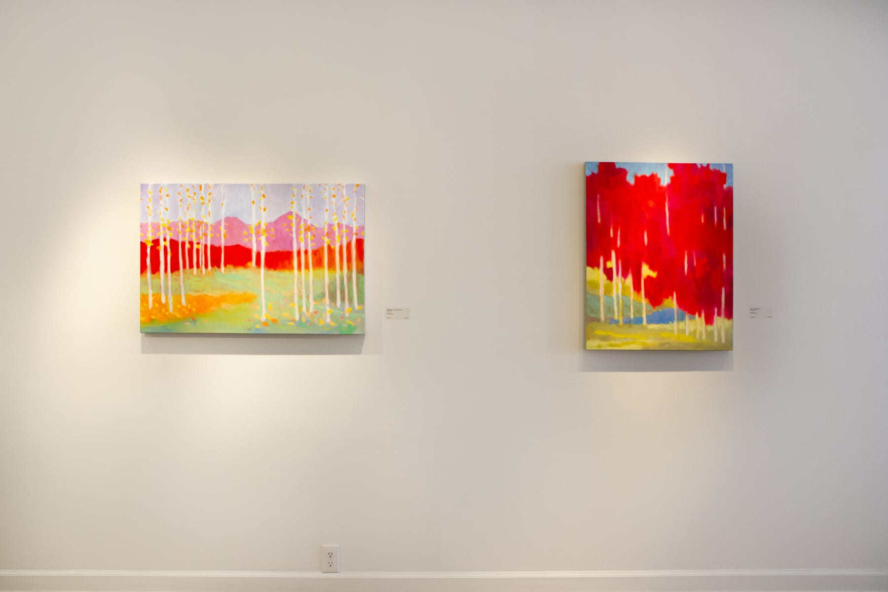 Marshall Noice, September, Lizard Head Pass, 2025