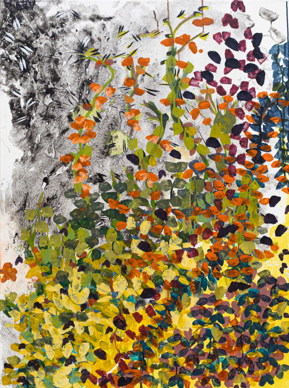 Aela B. Morgan, Focus