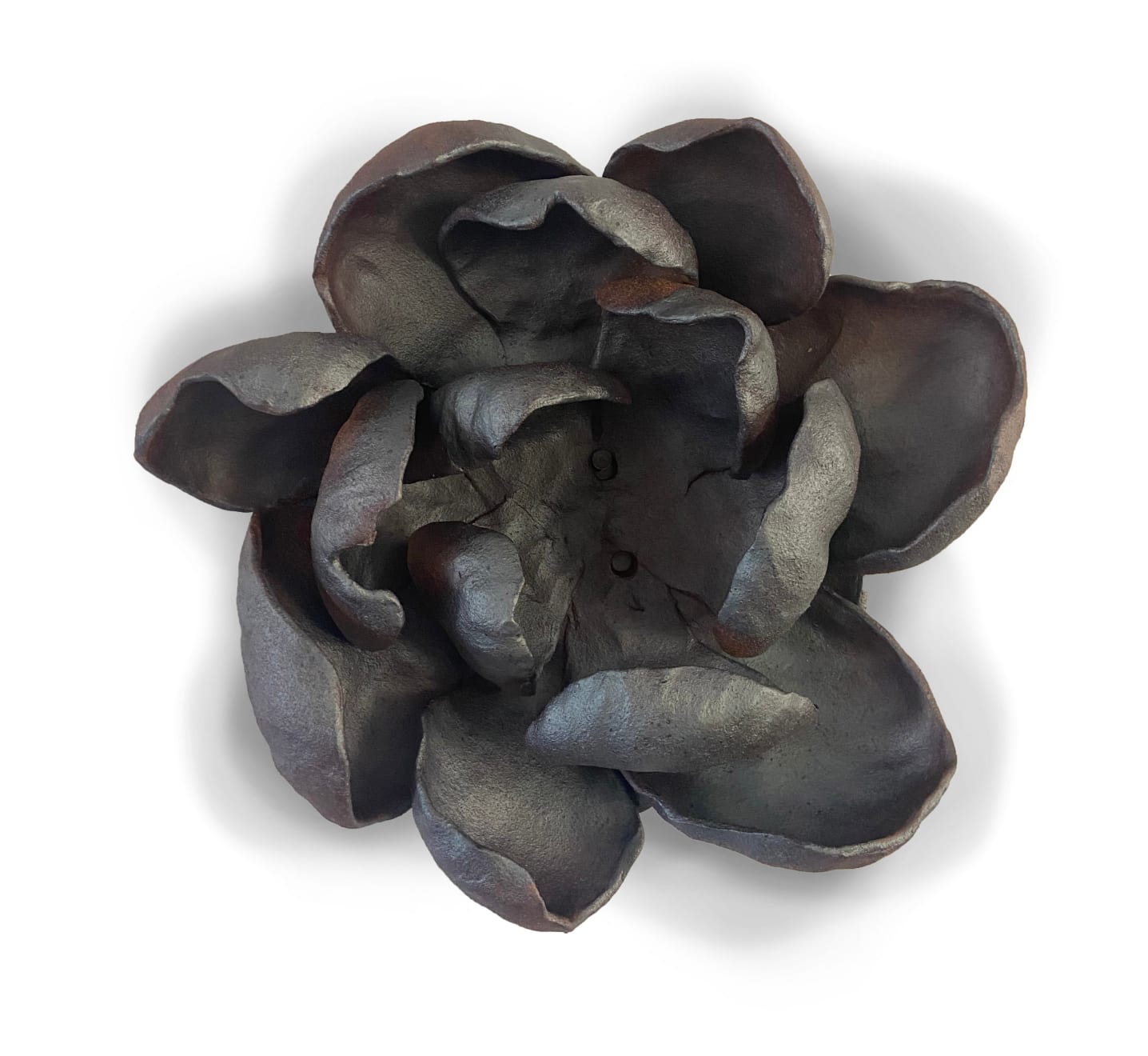 Dana Flores, Camelia 2M, 2020