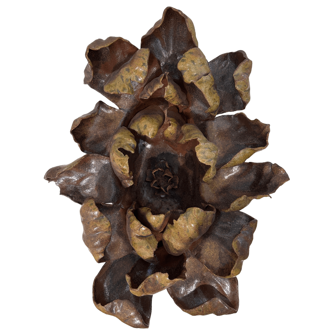 Dana Flores, Desert Ochre Orchid, 2023