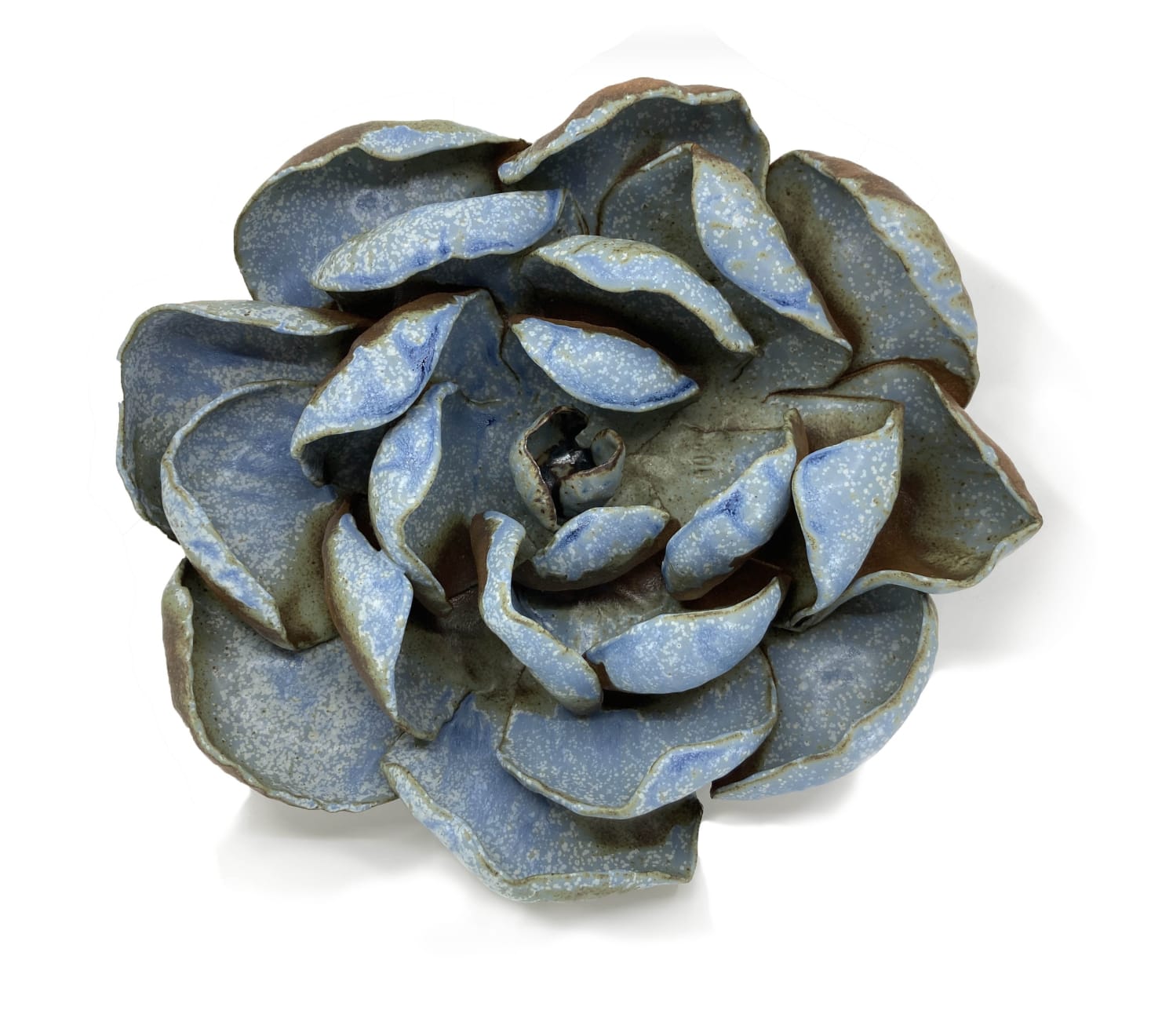 Dana Flores, Ocean Bloom 2, 2021