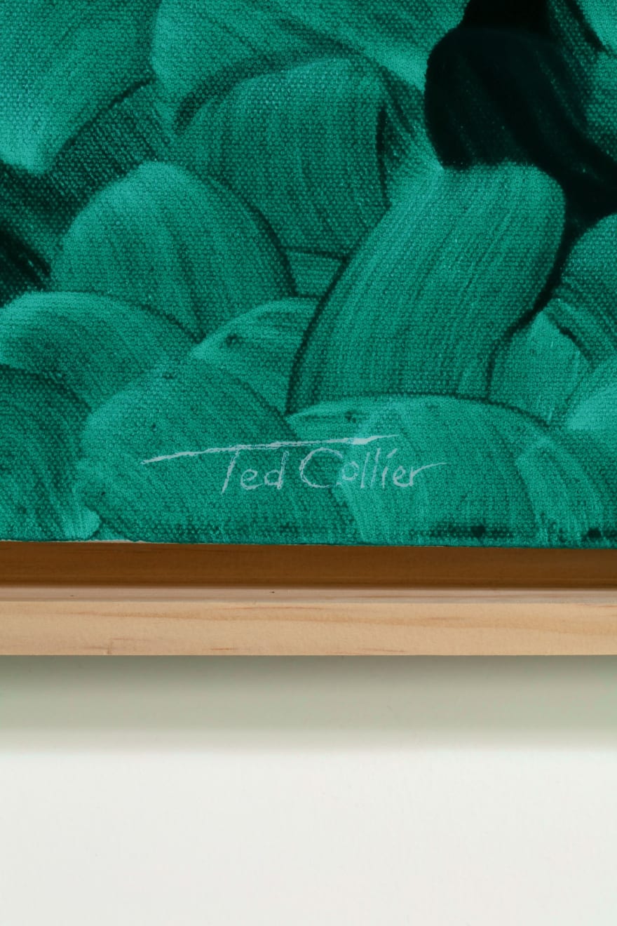 Ted Collier, Forest Bathing, 2026