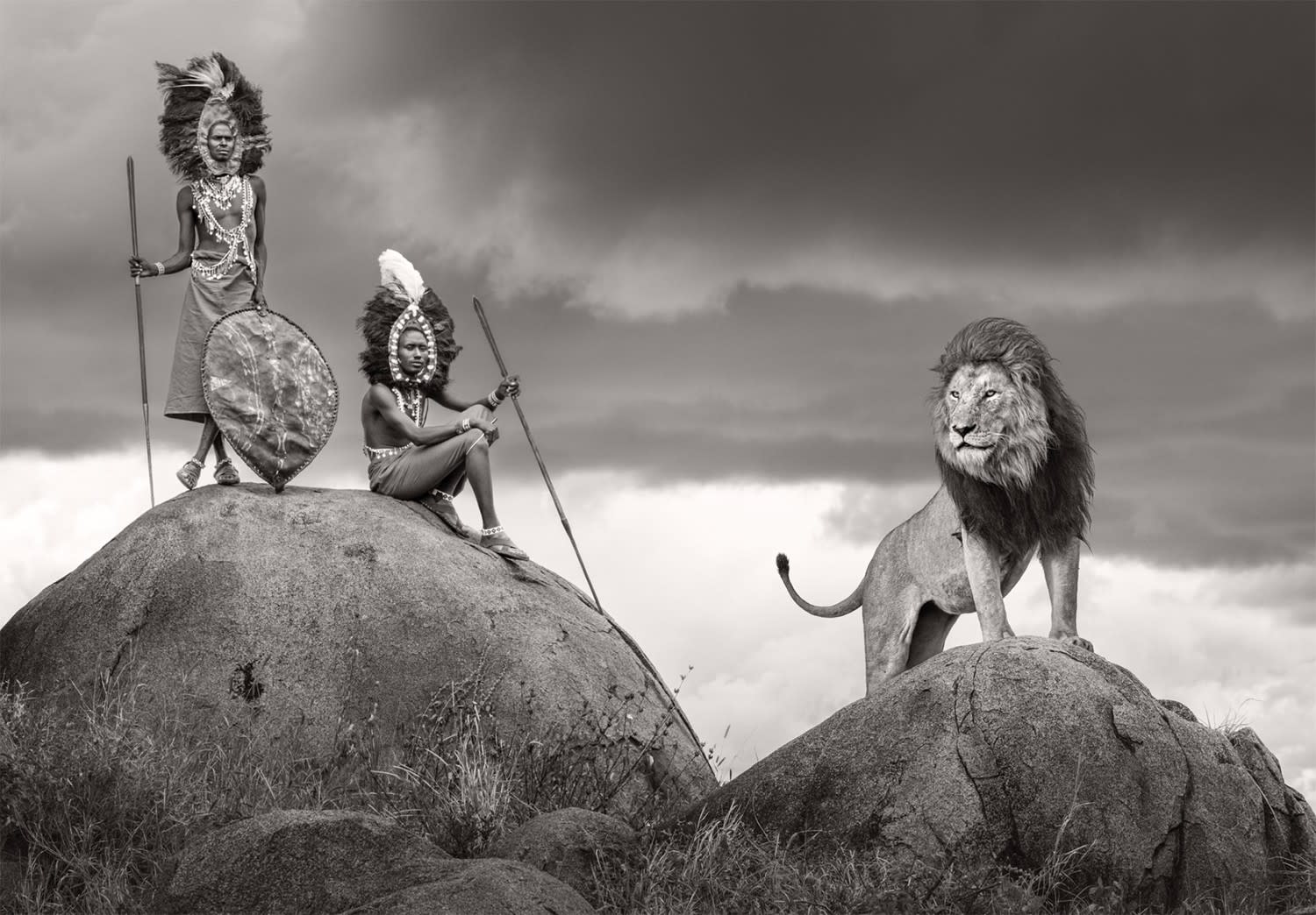 James Lewin, The Warriors, 2025