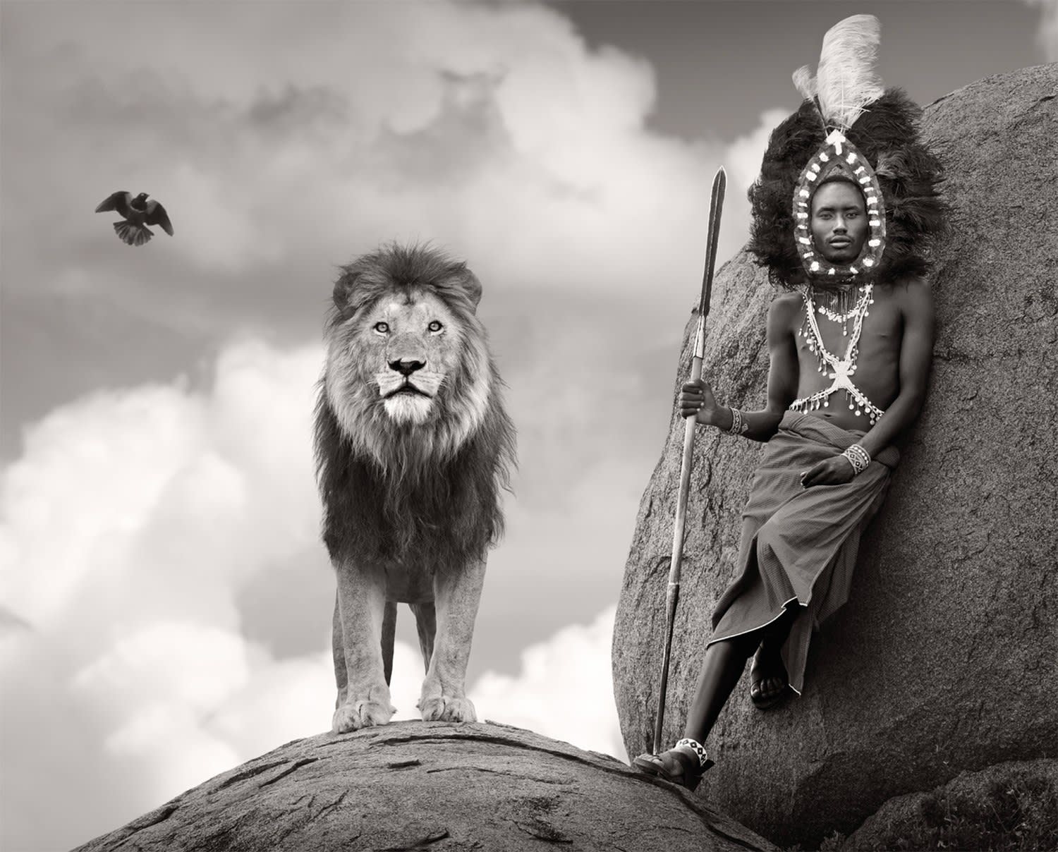 James Lewin, One Land One Life, 2025