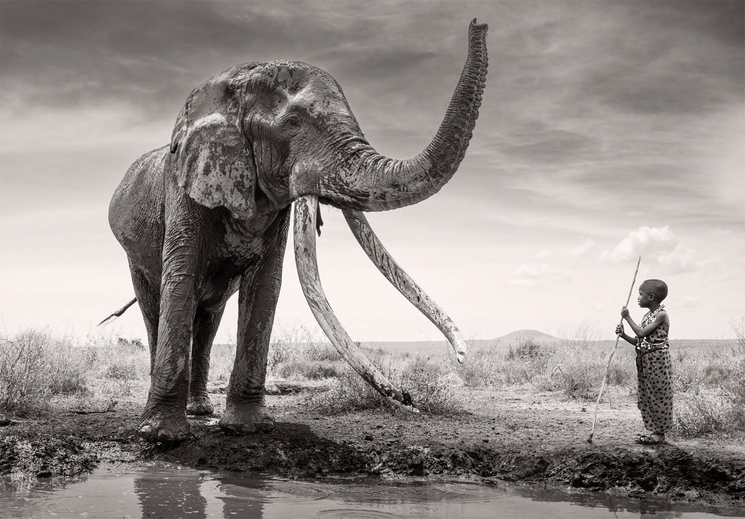 James Lewin, The Boy And The Gentle Giant, 2025