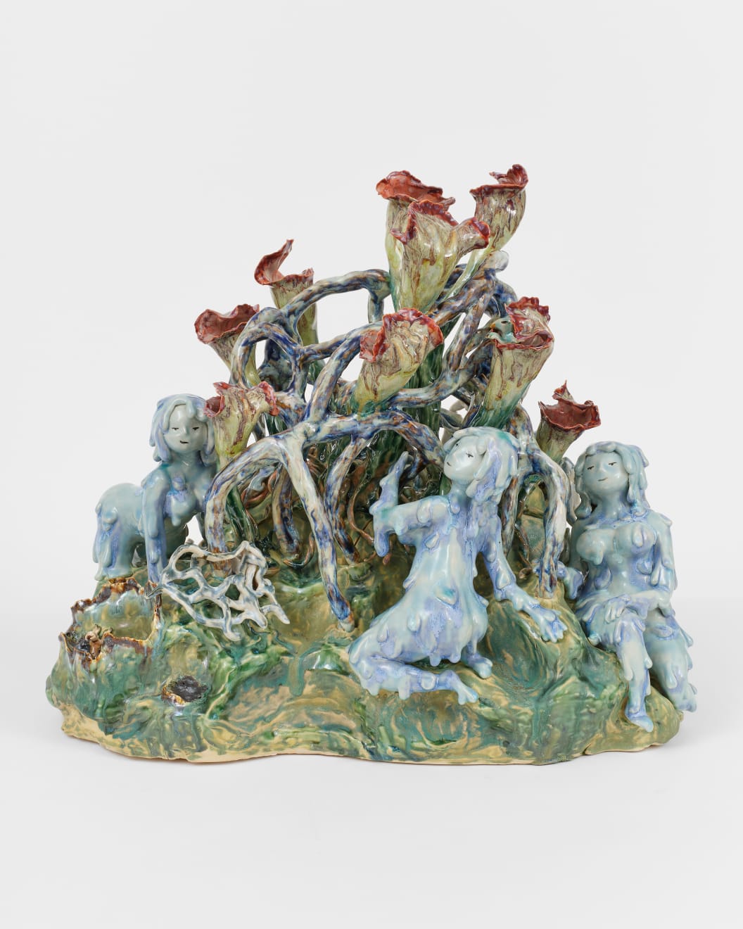 Amia Yokoyama, Sarracenia, 2023