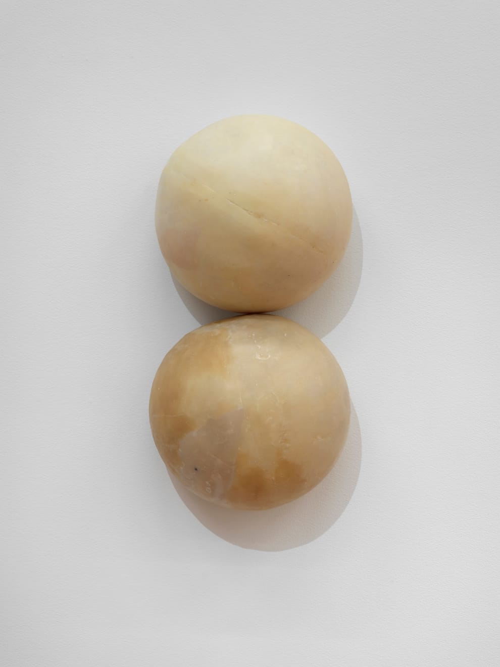 Darya Diamond, Custard Heart, 2025