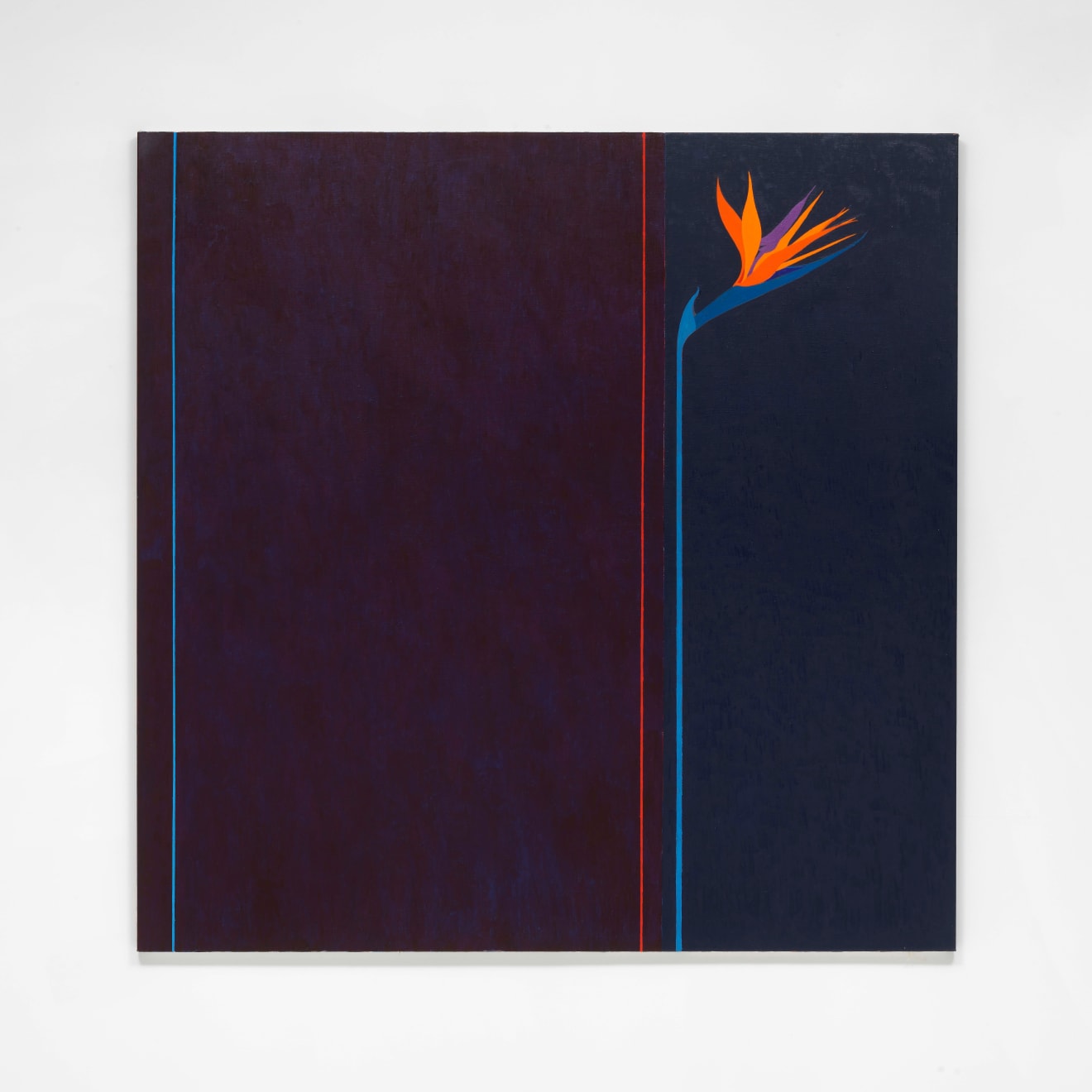 Nan Montgomery, Lumenesce, 2012