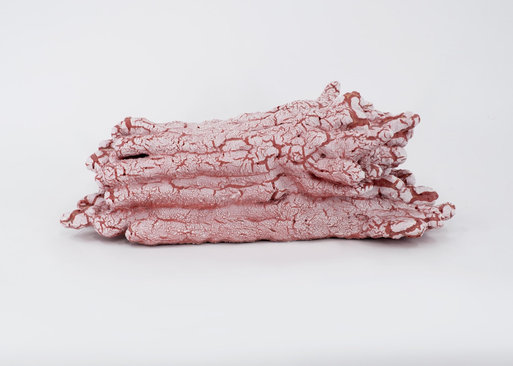 Dino Capaldi, Coulee, 2020