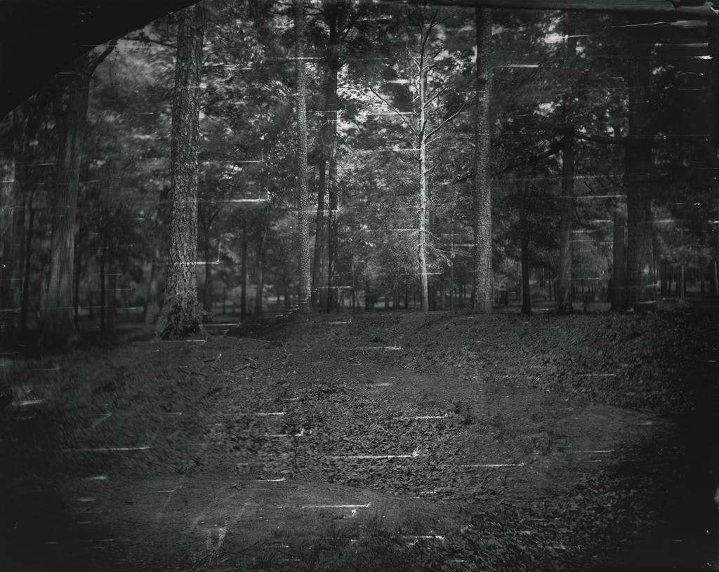 Sally Mann, Battlefields, Cold Harbor (Battle), 2003