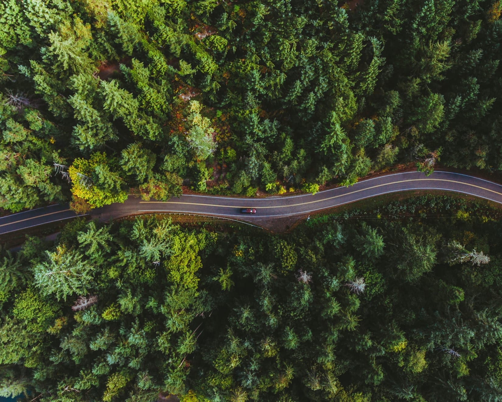 Jeremy Beck, Untitled (4), 2018