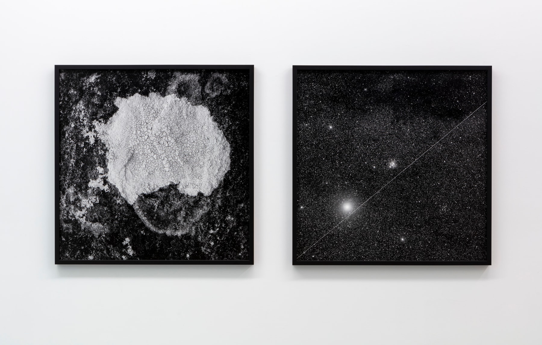 Haines & Hinterding, Lichen and Stars 2 (Faulconbridge / NGC4755 Jewel Box Star Cluster), 2021