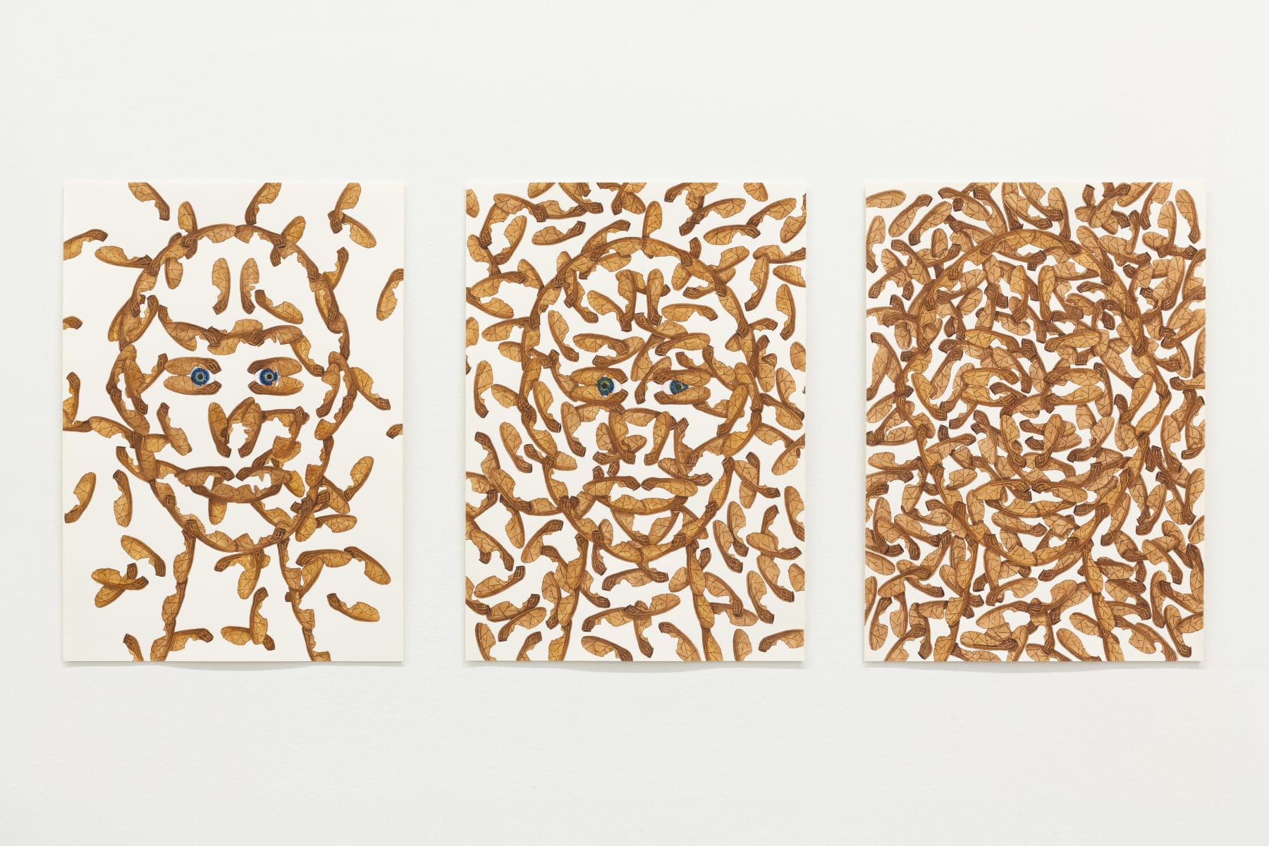 Zina Swanson, Their seeds are winged and borne in pairs, 2024-2025