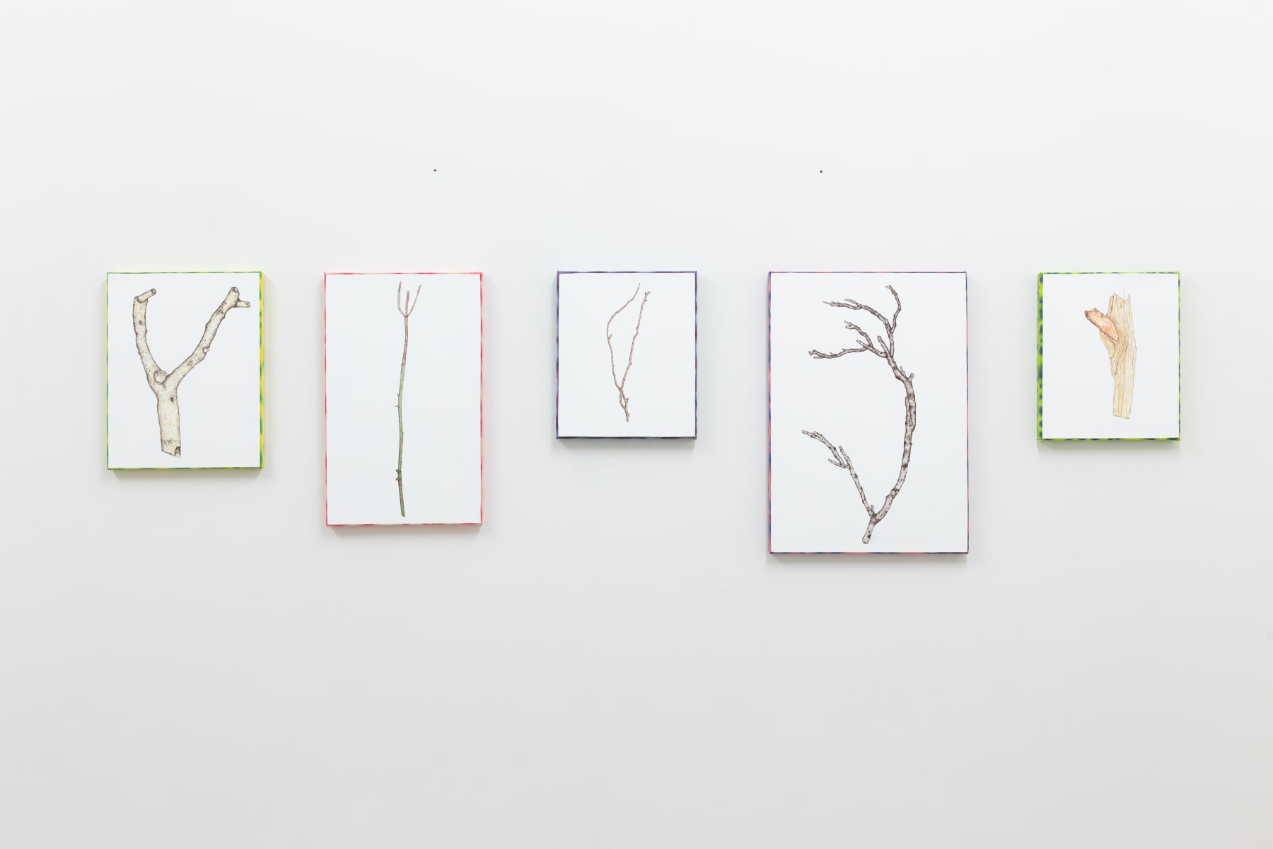 Zina Swanson, All My Sticks Have Auras (Ground - Pink, Radiating - Pink), 2021