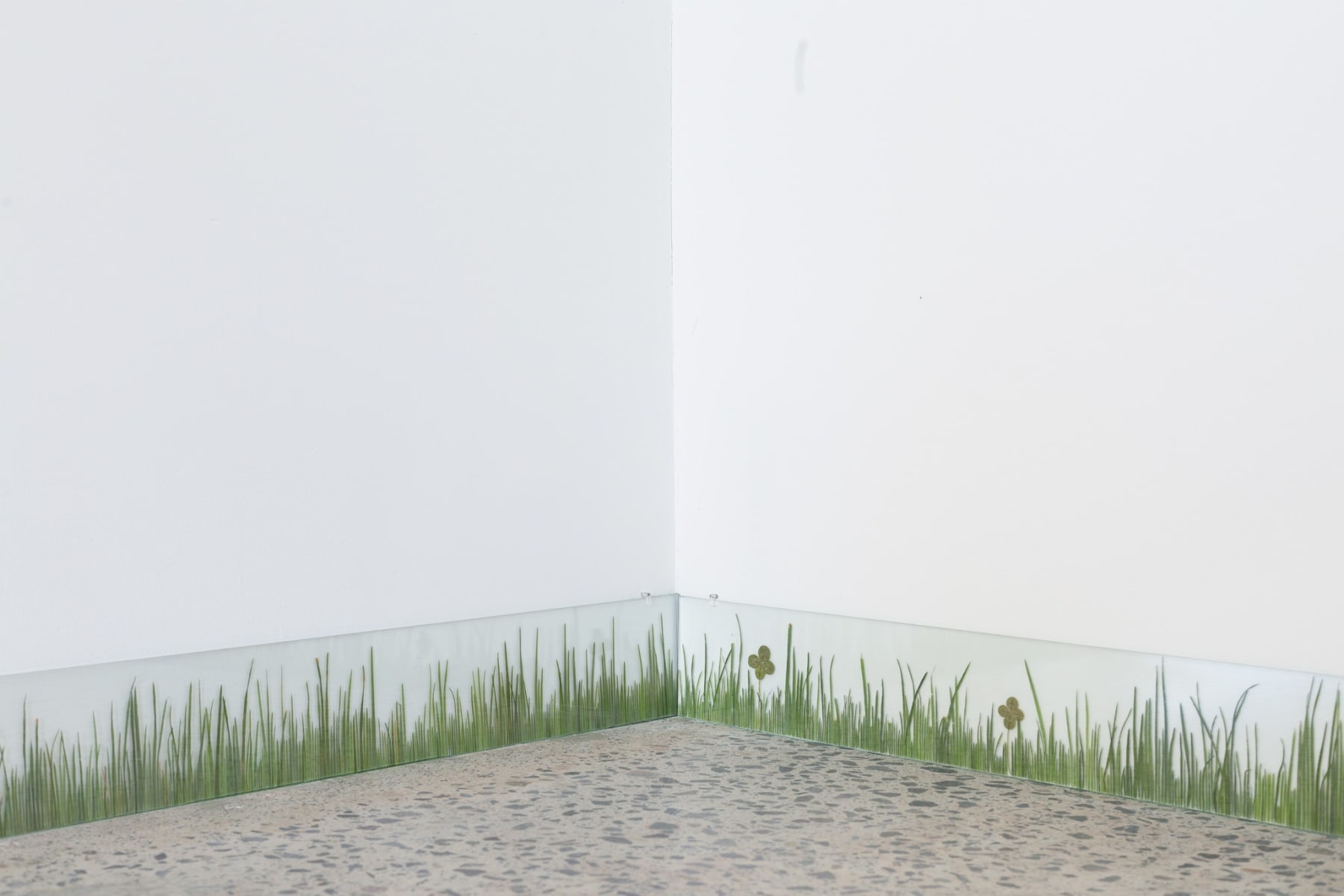 Zina Swanson, Grass and Faked Four Leaf Clovers, 2020