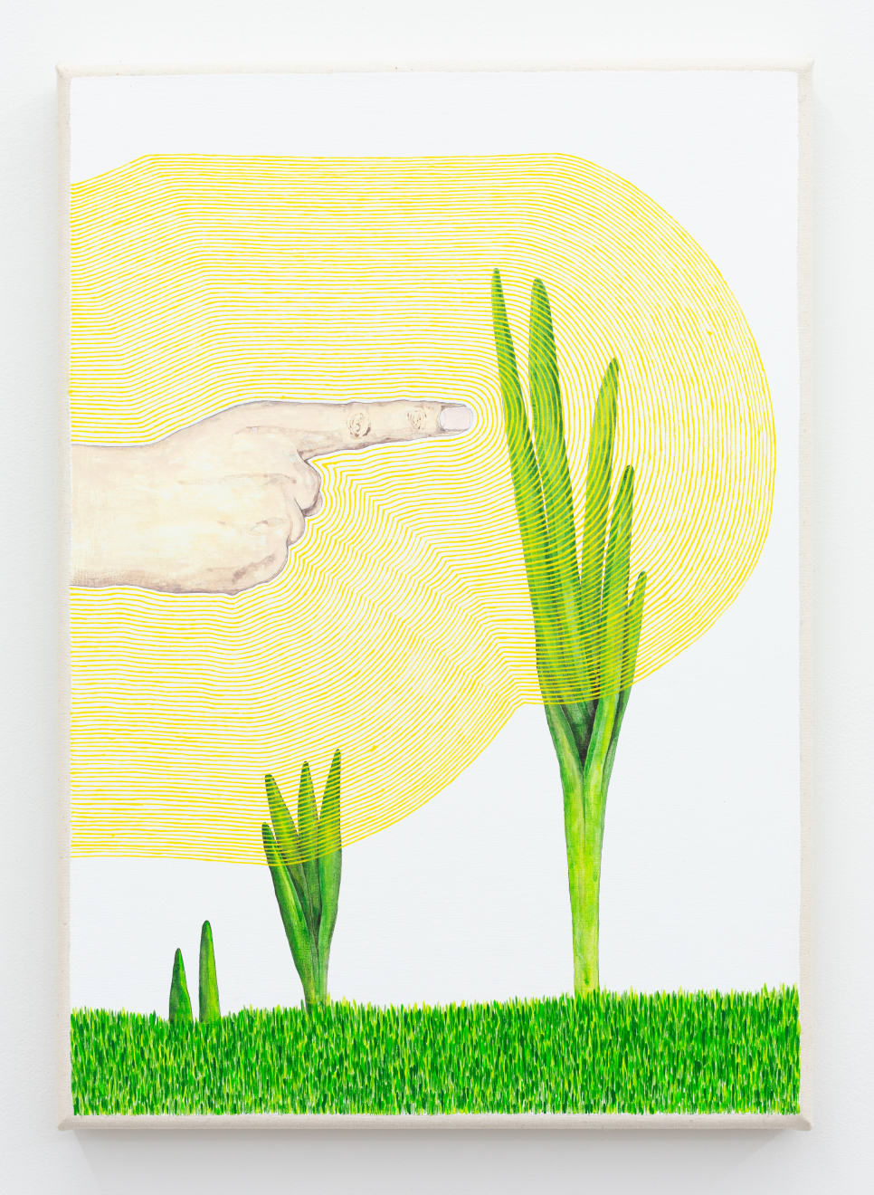 Zina Swanson, Stunt (Pointing at a Daffodil will keep it from blooming), 2020