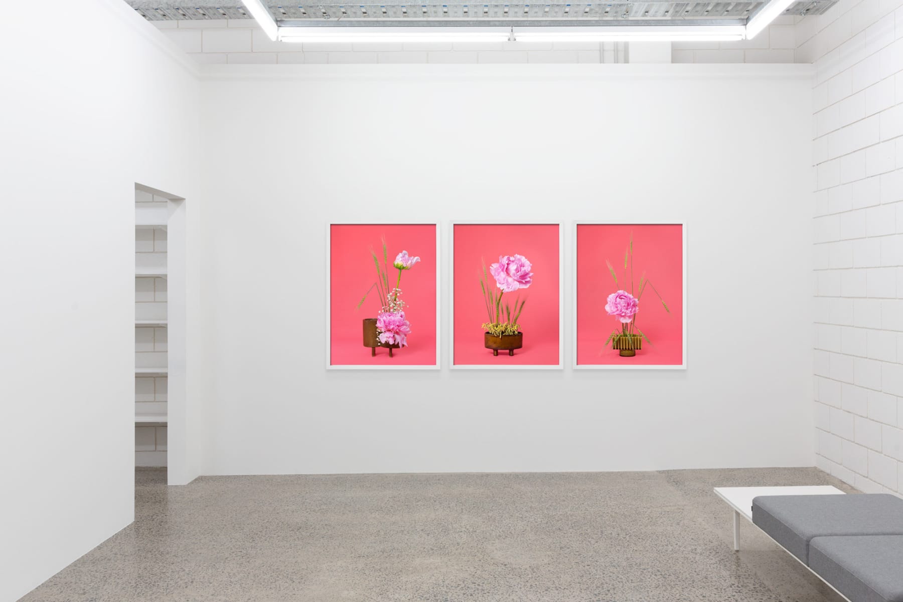 Ann Shelton, The Three Sisters: The Party Girl, The Congresswoman, The Influencer, Peony (Paeonia sp.), 2020