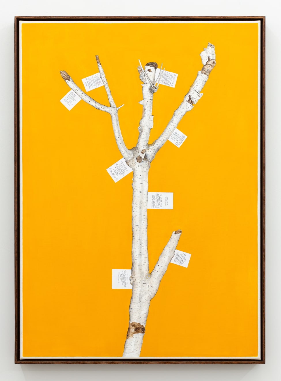 Zina Swanson, Wash With Care and Wash Separately, 2022