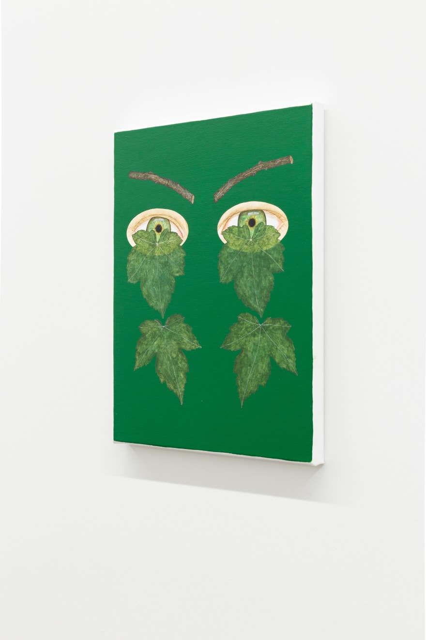 Zina Swanson, Sycamore Tears, 2025