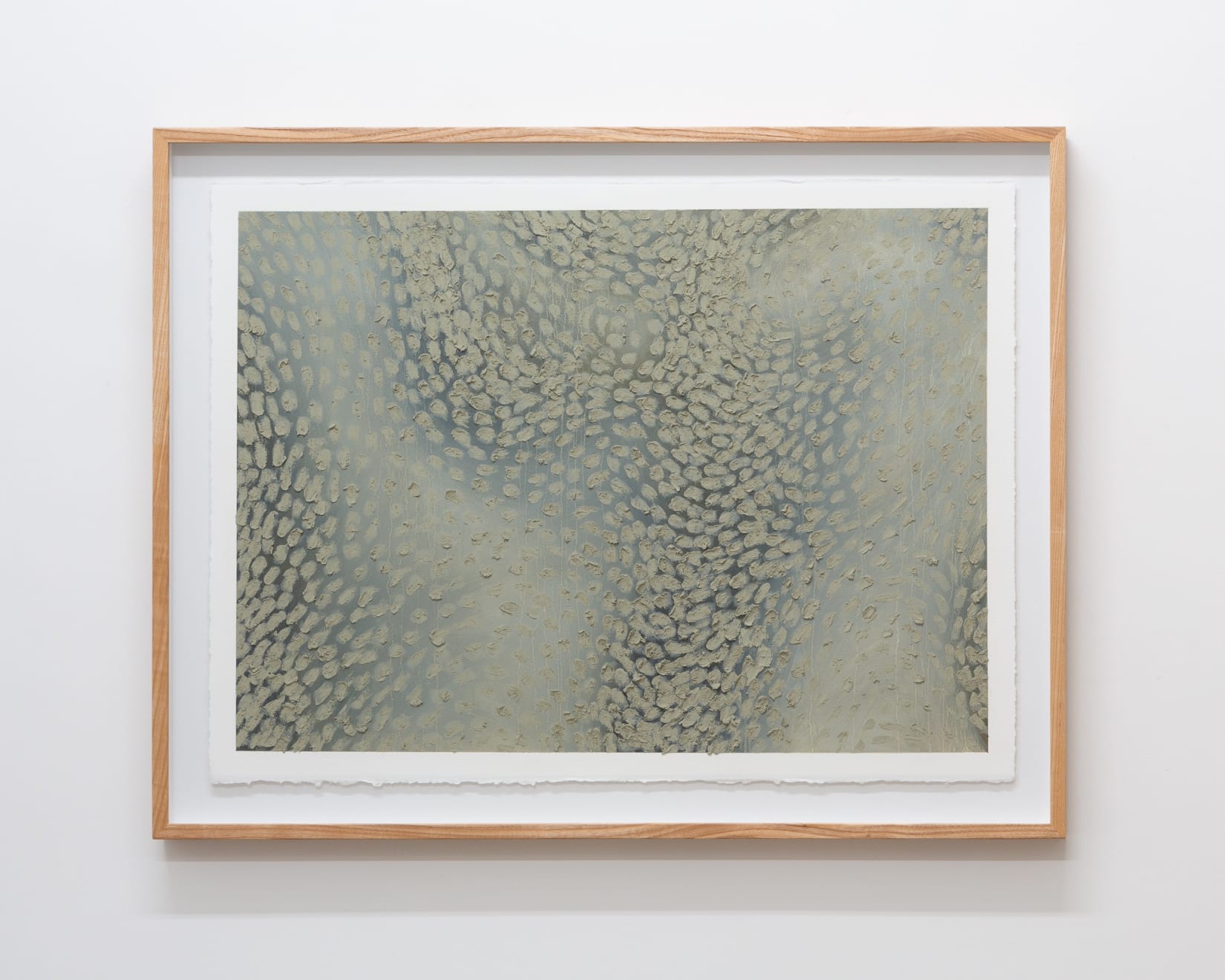 Raukura Turei, Ngā Kārohirohi 6, 2019