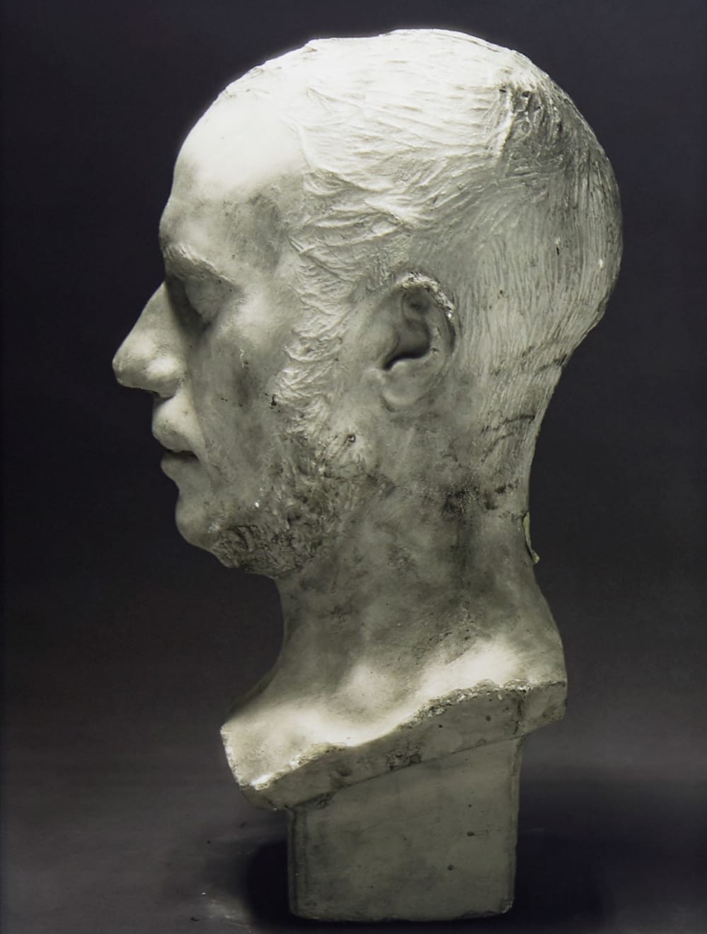 Fiona Pardington, Portrait of a Life-Cast of Pierre-Marie Alexandre Dumontier (Left Profile), 2010