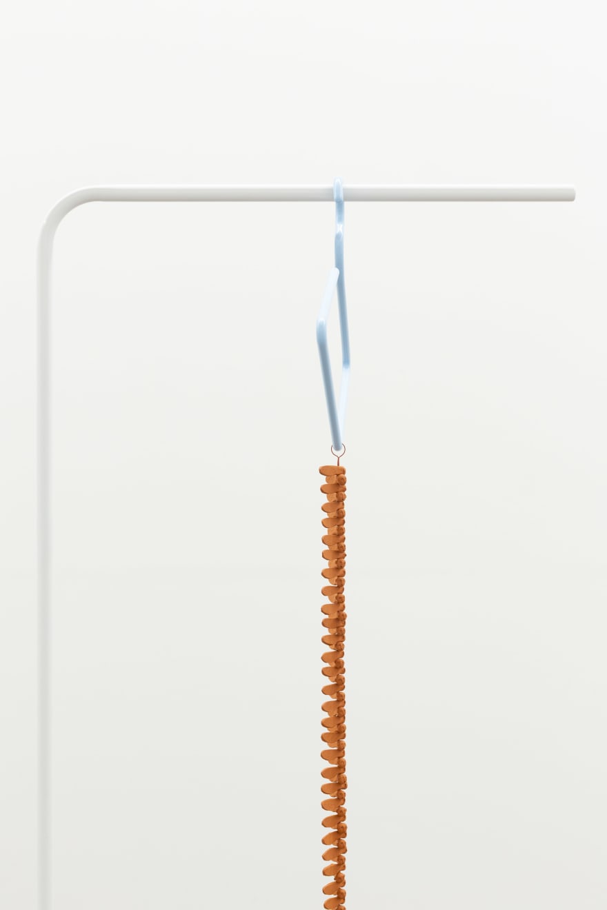 Zina Swanson, Fallen and Worn, 2025