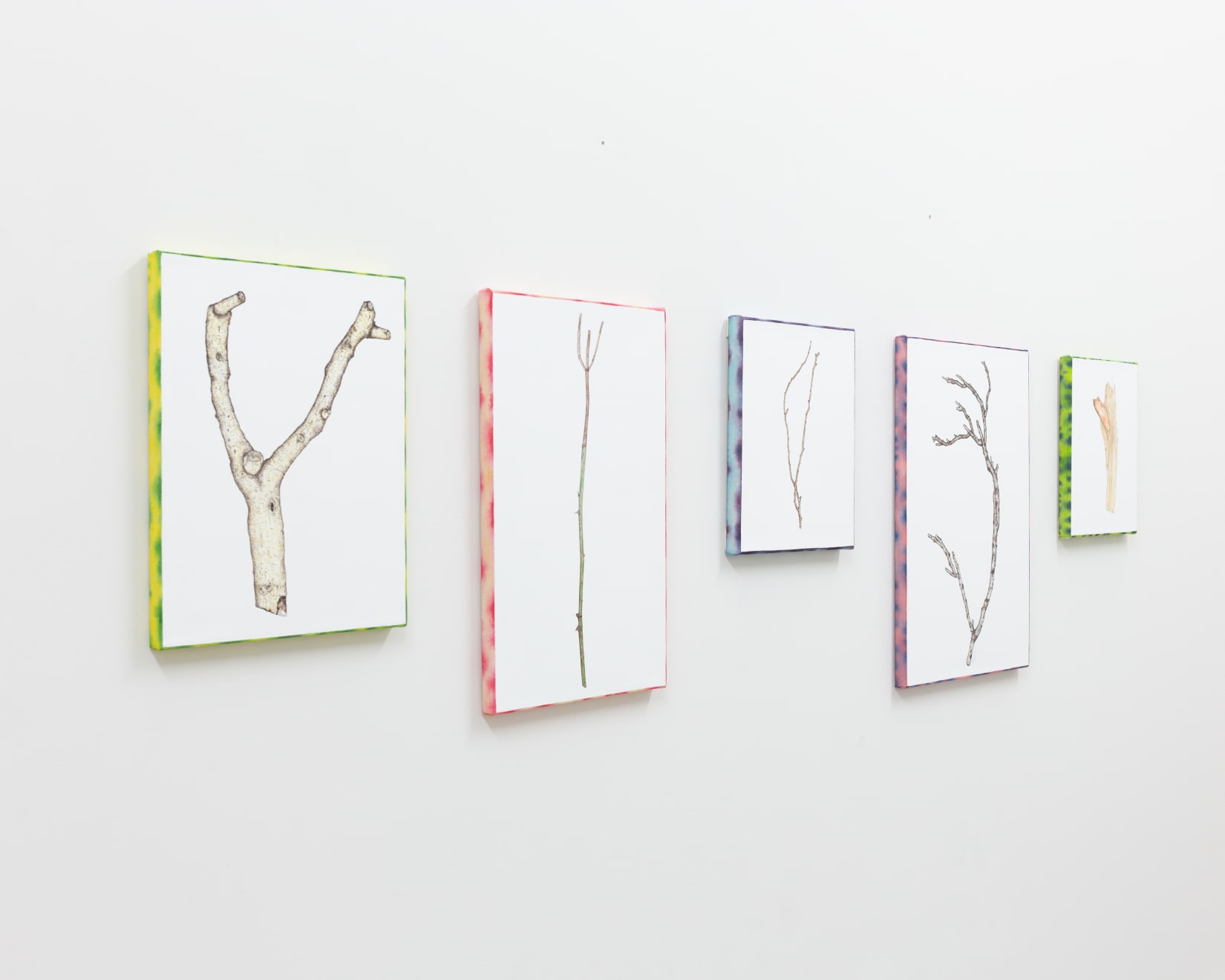 Zina Swanson, All My Sticks Have Auras (Ground - Pink, Radiating - Pink), 2021