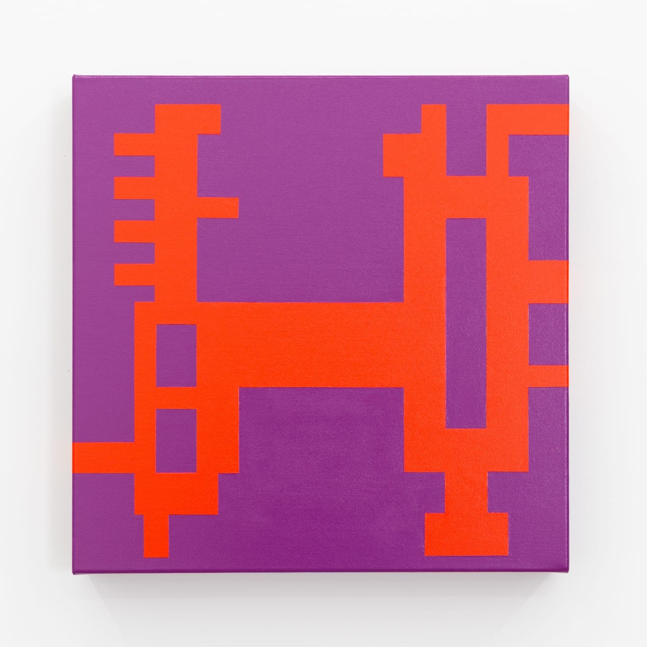 Kelcy Taratoa, I have spoken, 2020