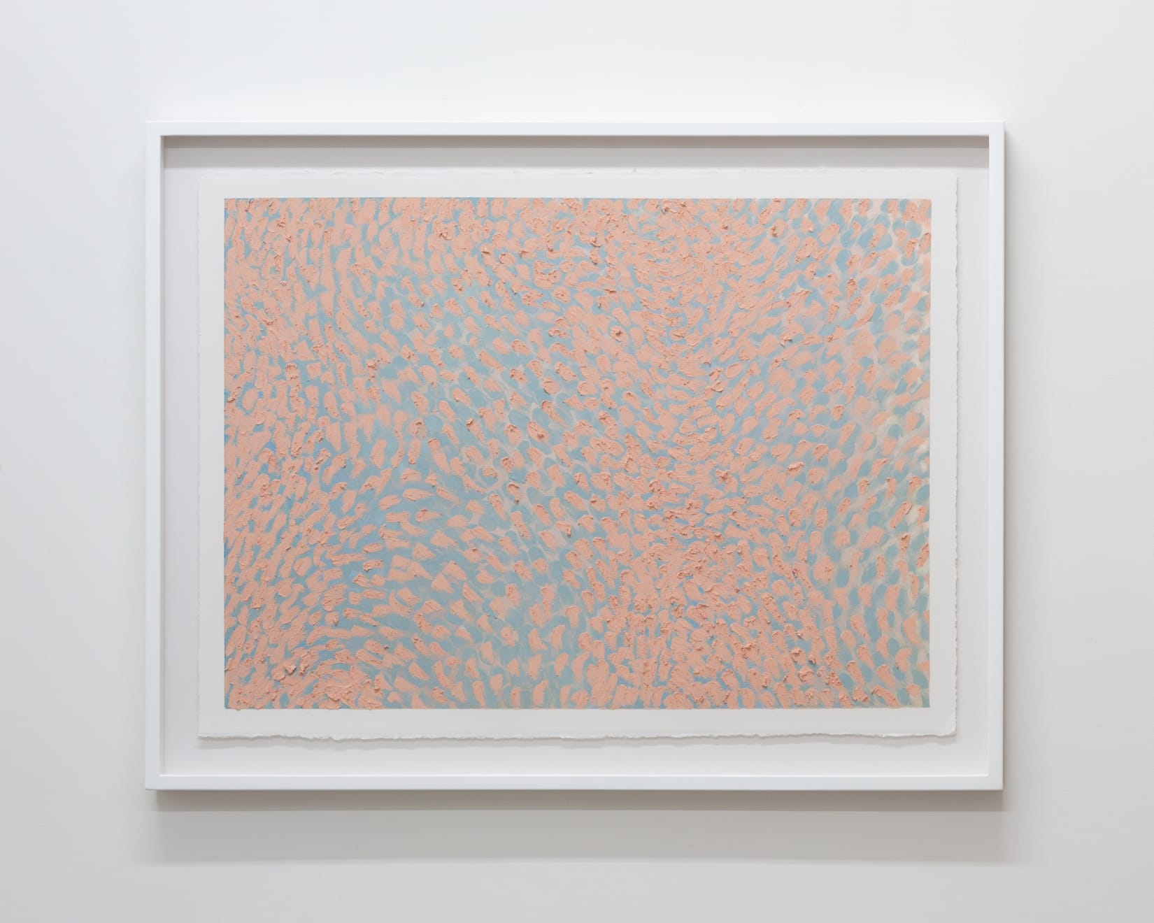 Raukura Turei, Ngā Kārohirohi 2, 2019