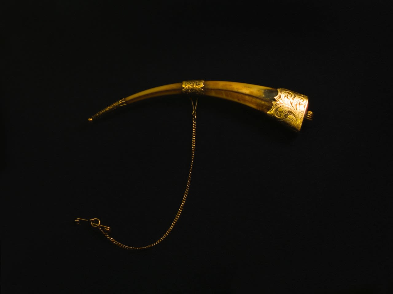 Fiona Pardington, Huia Beak Brooch, with thanks Te Manawa Museum, New Zealand, 2017