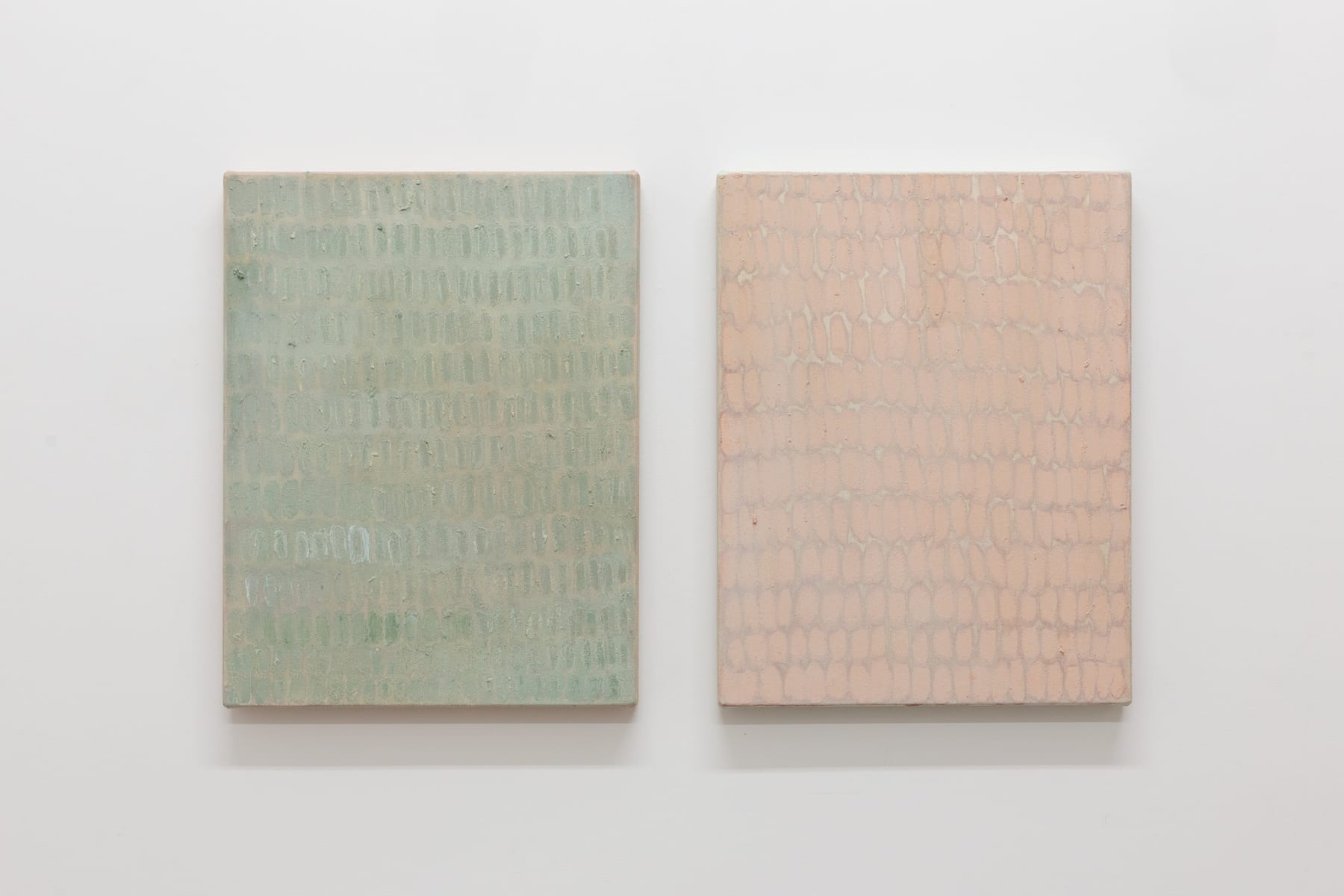 Raukura Turei, Ngā rau ririki o te wao, 2019