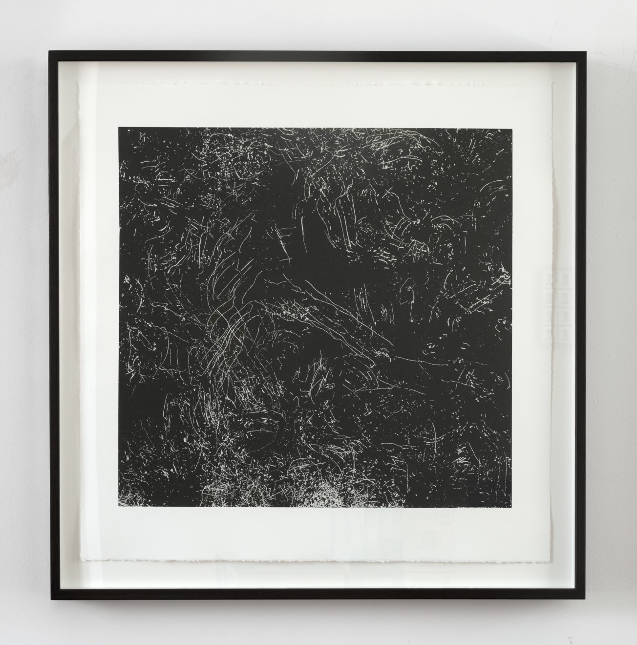 Kate Newby, Just Be Prepared (Backyard birds, Southtown), 2017