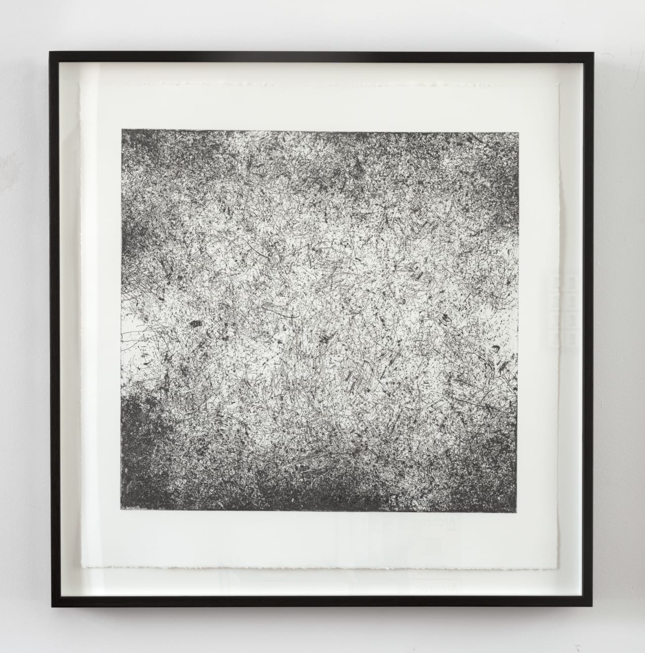 Kate Newby, Just Be Prepared (Backyard birds, Southtown), 2017