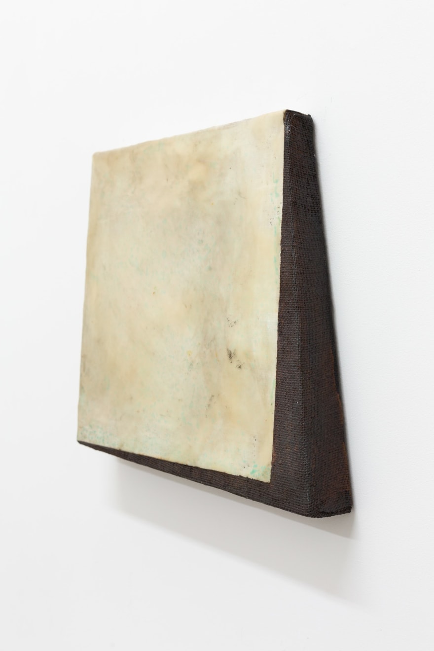 Julia Morison, Square Deal 5, 2021