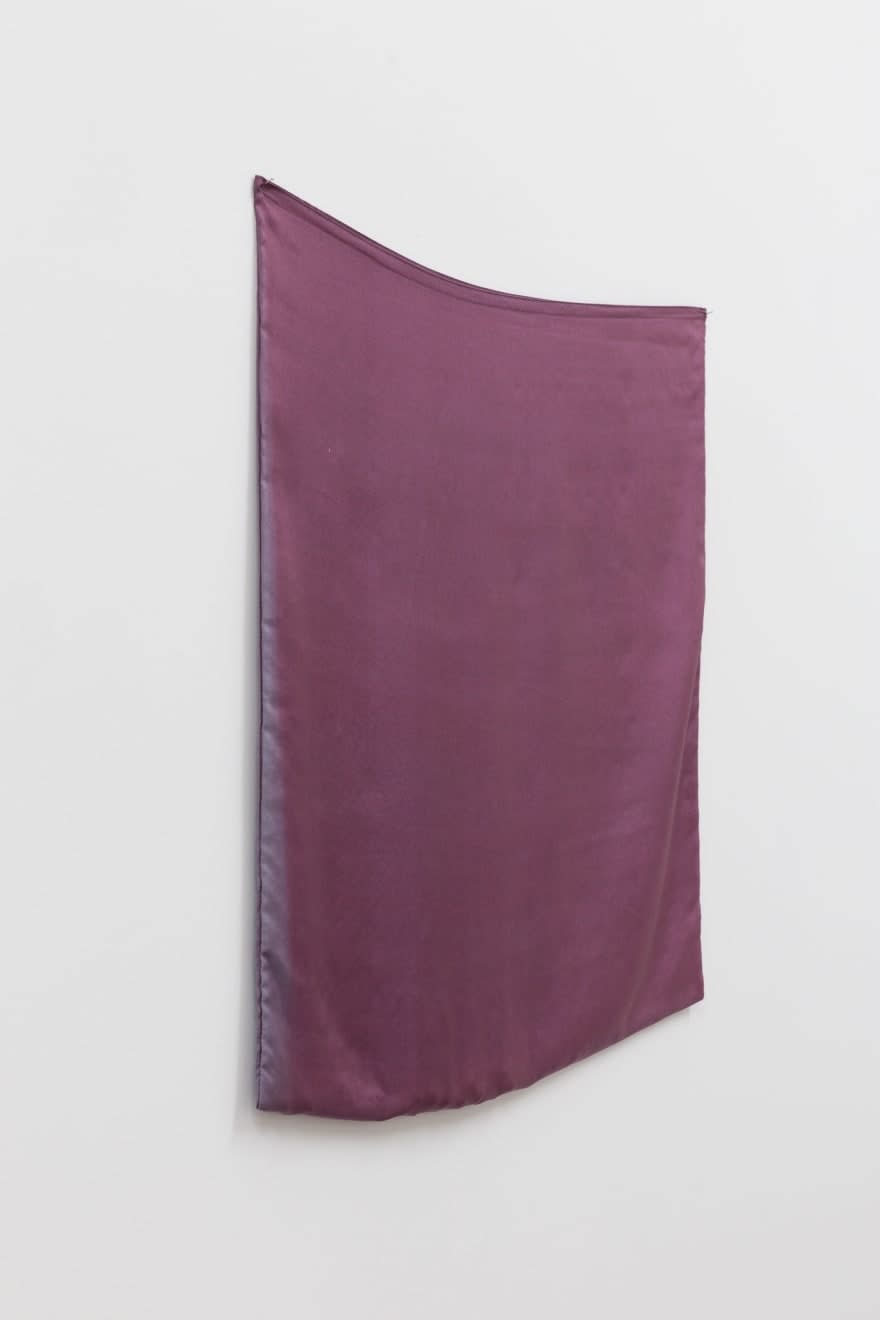 Sriwhana Spong, The Plum Tree, 2017