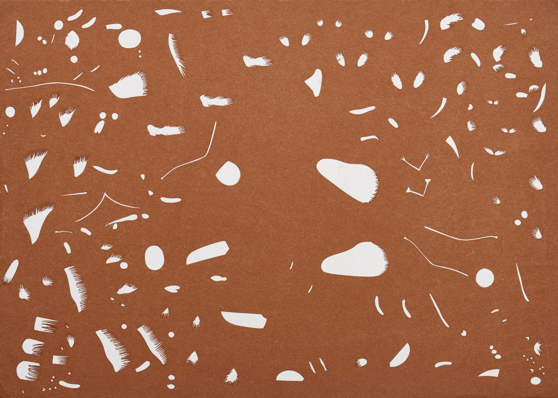Nibha Sikander, Negative 1, 2019