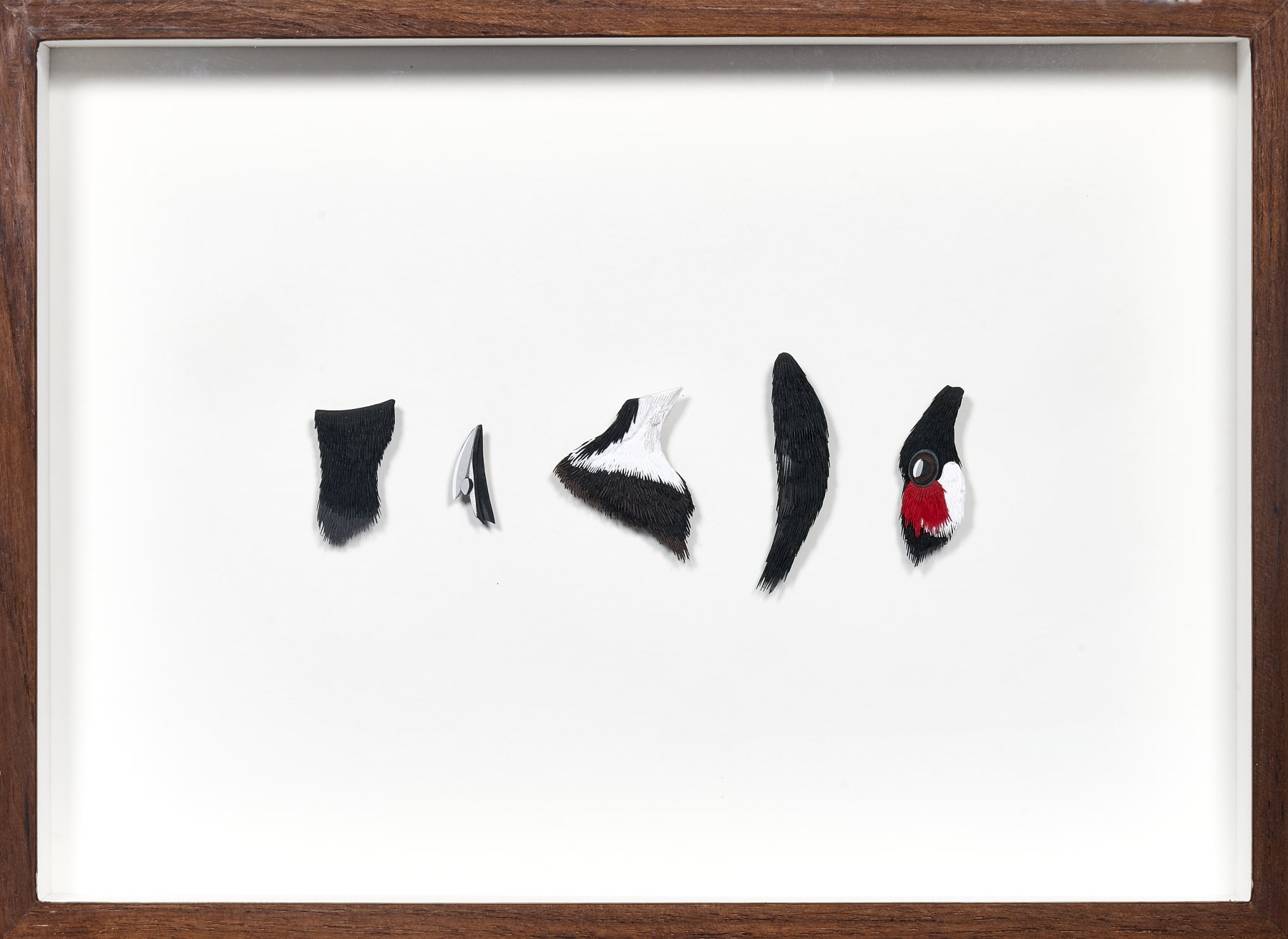 Nibha Sikander, Red Whiskered Bulbul, 1 work with 5 individual paper cut parts of the Red Whiskered Bulbul's head, 2019