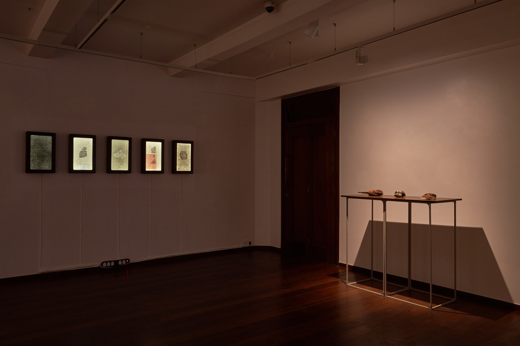 Garima Gupta, Cassiterite (NSW), 2021