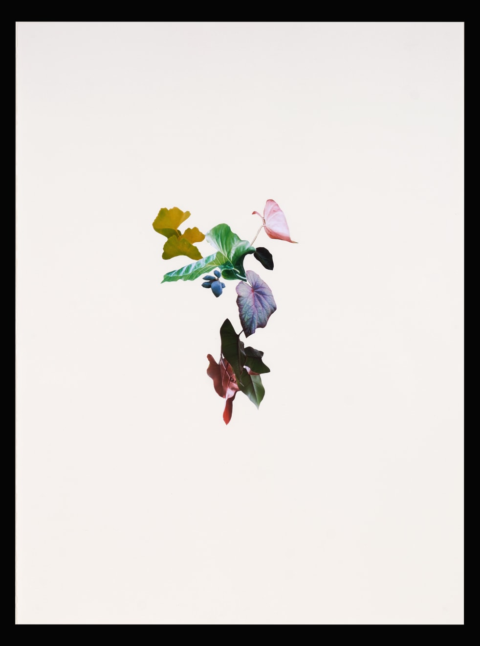 Apnavi Makanji, Untitled - Penumbra series, 2021