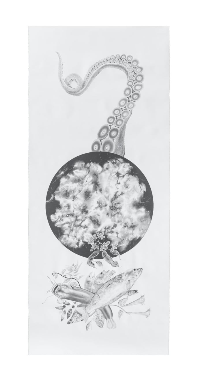 Apnavi Makanji, PARALLAX series: UMBILICUS , 2024