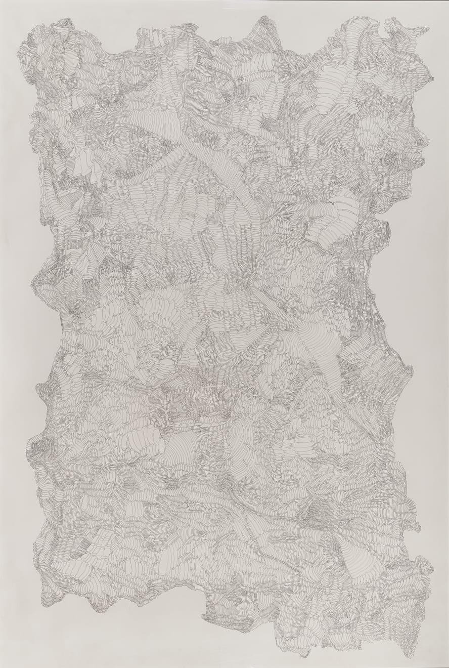 Savia Mahajan, Shape - Shifting Field Study, 2016-2017