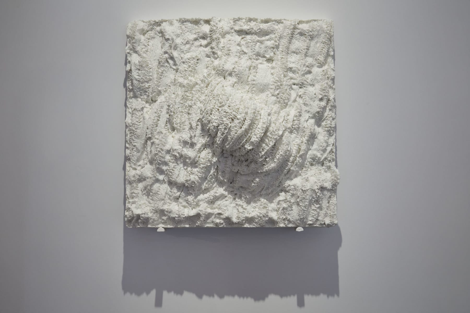 Savia Mahajan, Exuvia 1, 2023