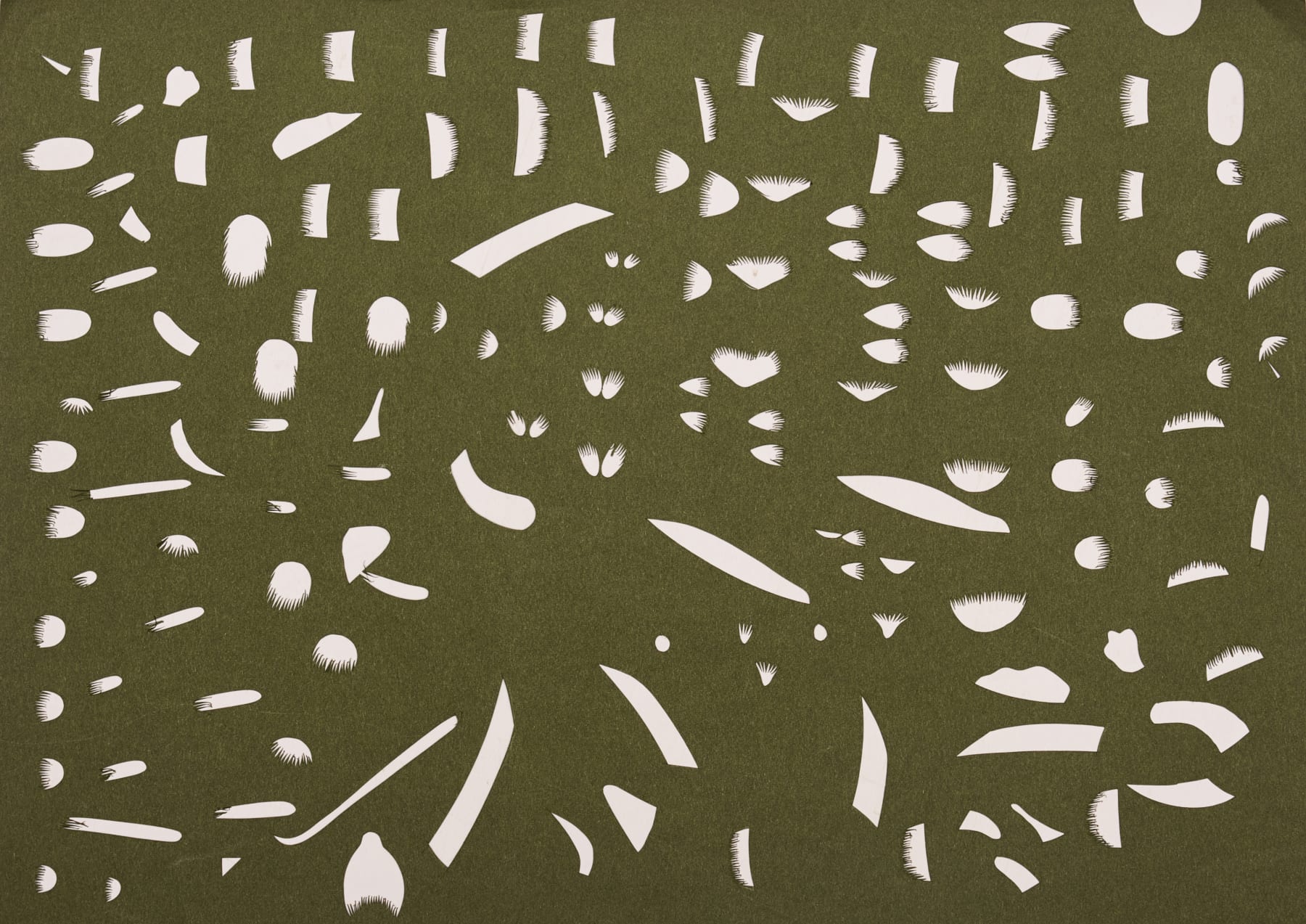 Nibha Sikander, Negative 15, 2019