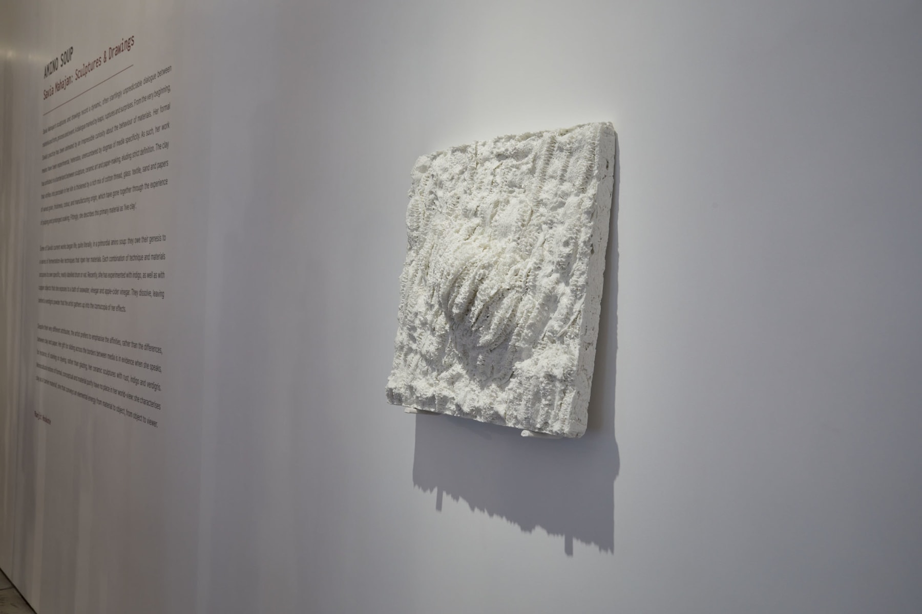 Savia Mahajan, Exuvia 1, 2023