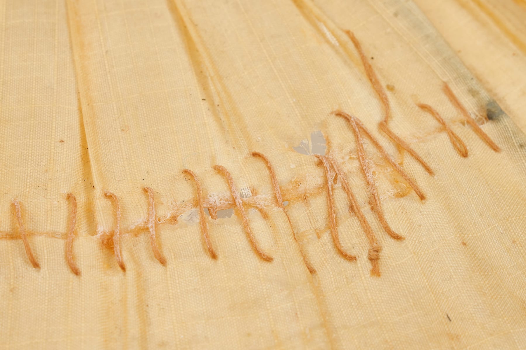 Rah Naqvi, Arawelo, 2020