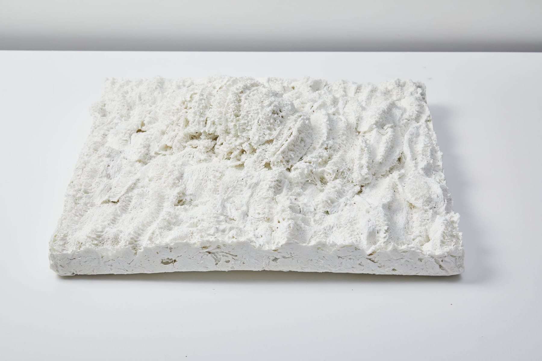 Savia Mahajan, Exuvia 1, 2023