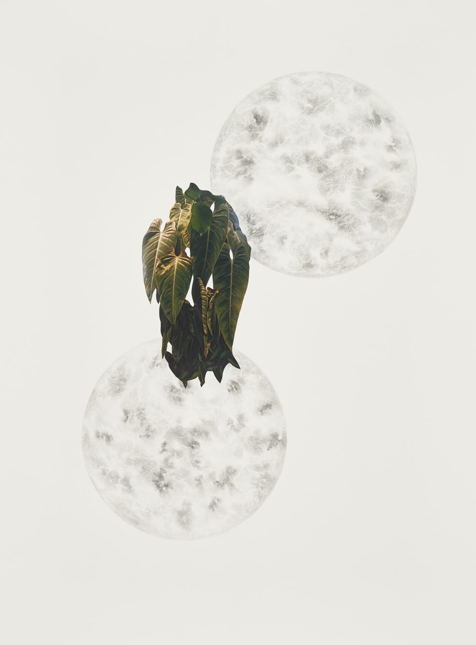 Apnavi Makanji, Liminal, 2022