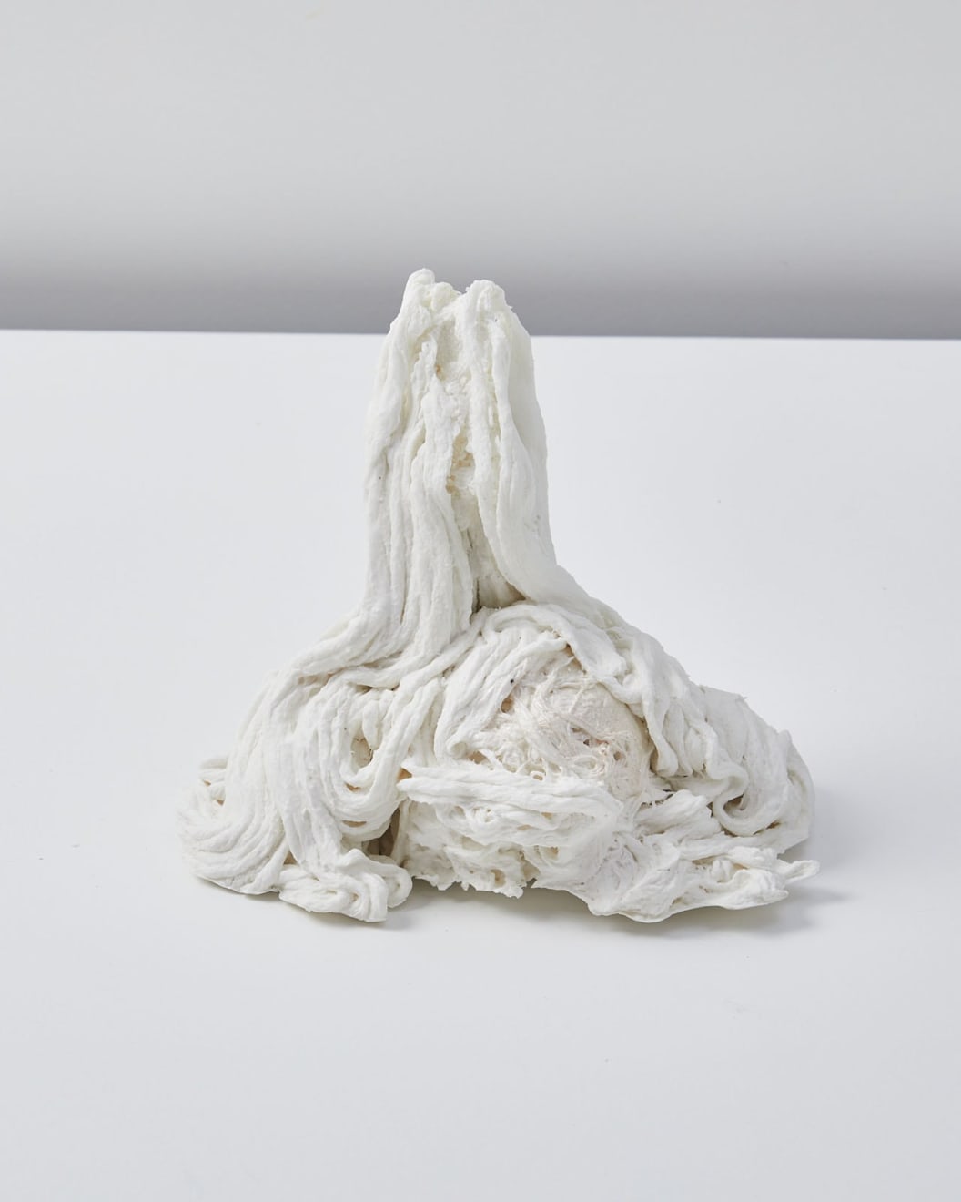 Savia Mahajan, Emergency-old-longing 20, 2023