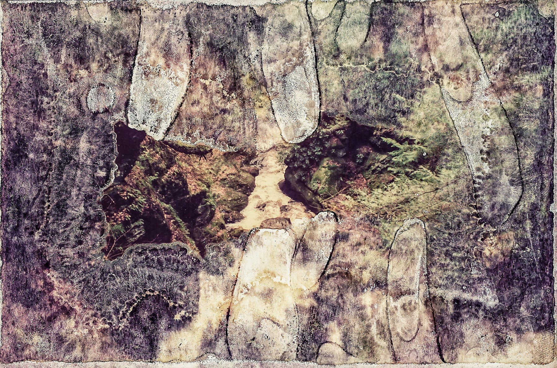 Suruchi Choksi, Memory Trace #2, 2014