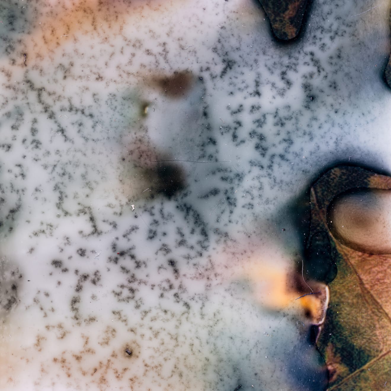 Philippe Calia, Manitou (Canada, 2013), from the ‘Dissolving The Earth’ series, 2021